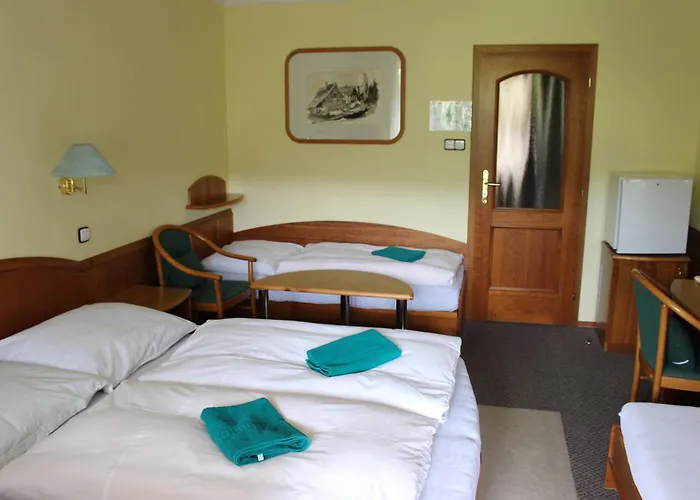 Hotel Zotavovna Vs Predni Labska *